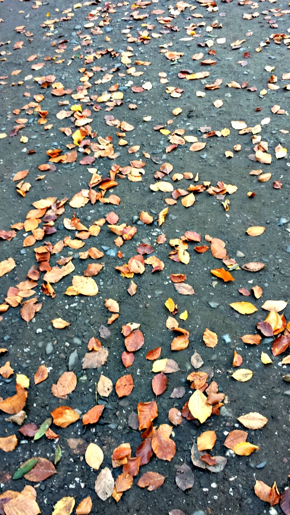 Herbst-Blues