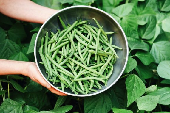 Life40up Sommersalat mit Bohnen und Gurken nach Omas Rezept